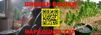 дурь Бердск
