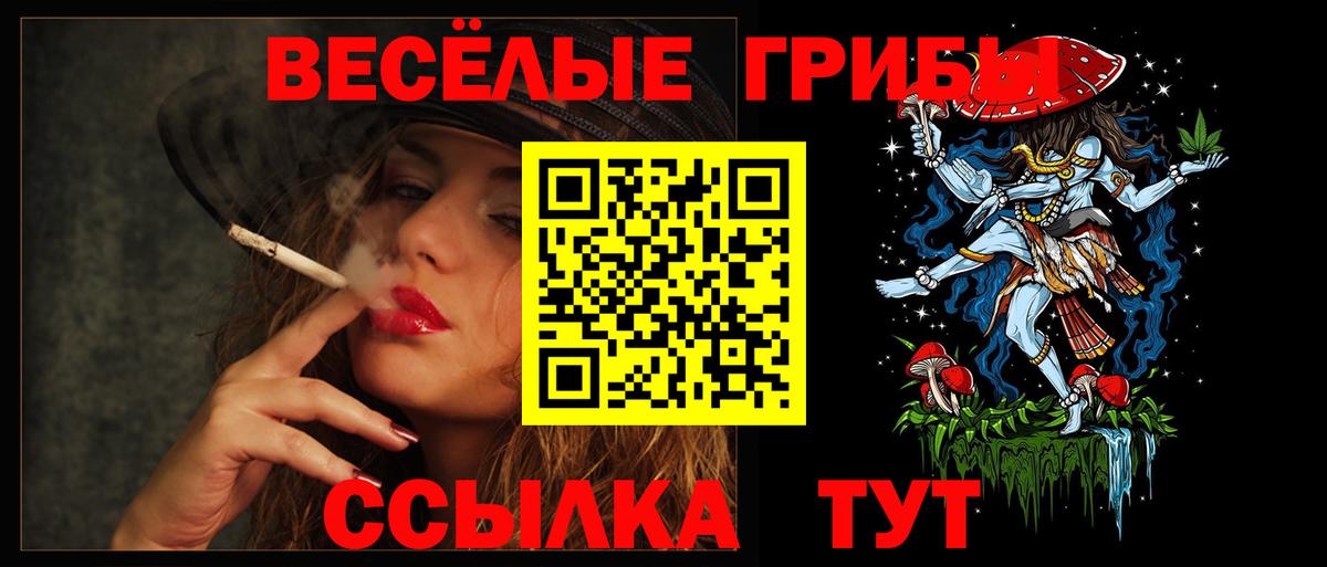 Галлюциногенные грибы Cubensis  Вход с VPN  Конаково  Псилоцибиновые грибы Psilocybine cubensis 